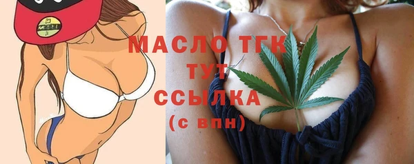 прущая мука Вяземский